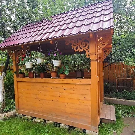 Приватна Садиба Vinemax Vorokhta Exterior photo